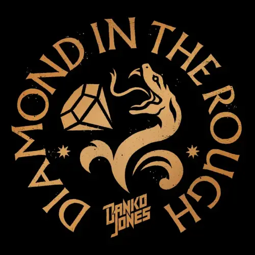 Danko Jones : Diamond in the Rough